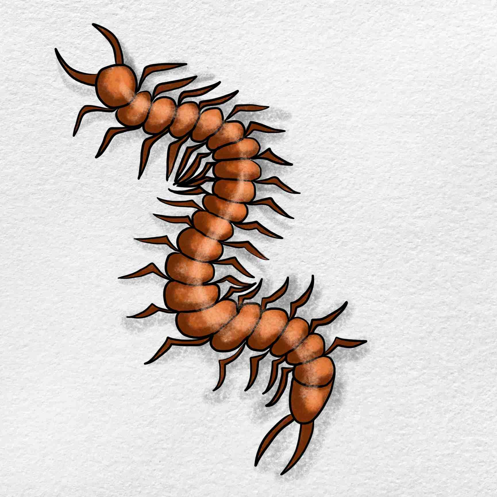 How To Draw A Centipede HelloArtsy