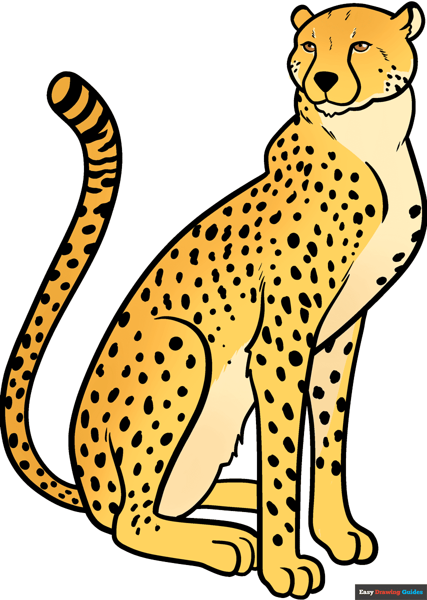 How To Draw A Cheetah Really Easy Drawing Tutorial