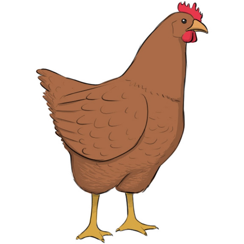 how to draw a chicken