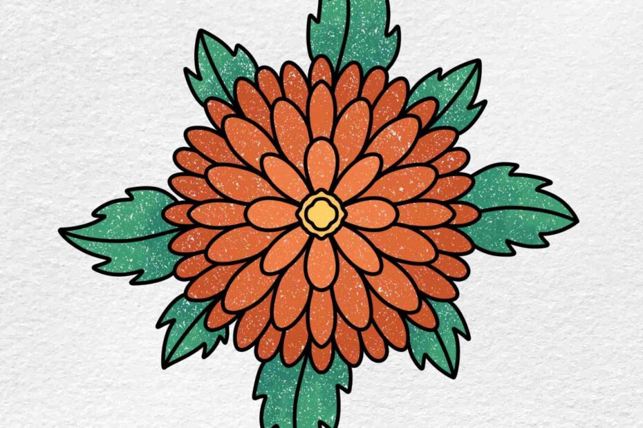 How To Draw A Chrysanthemum HelloArtsy
