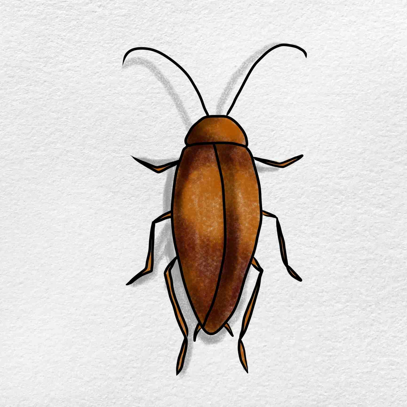 How To Draw A Cockroach HelloArtsy