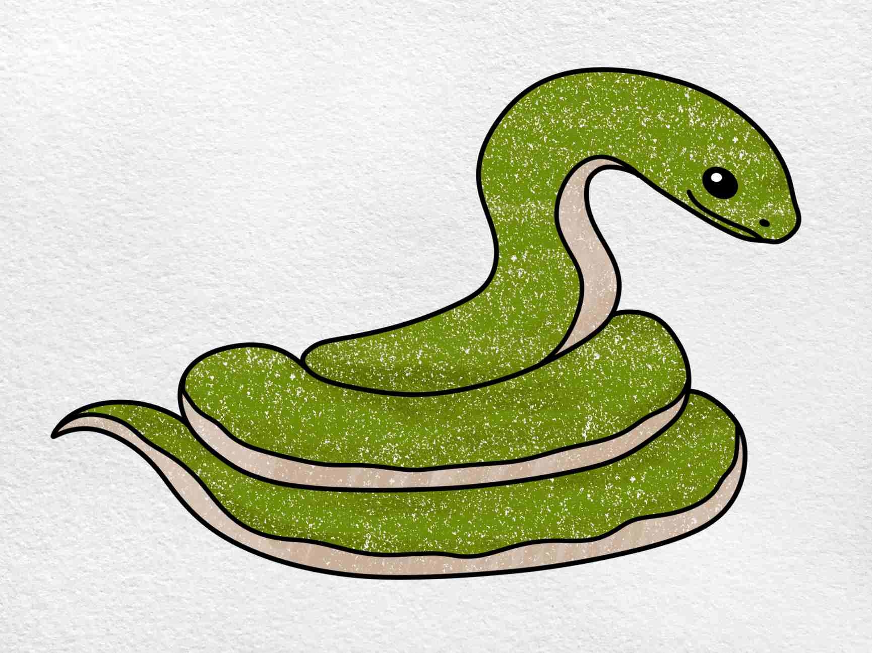 snake drawing