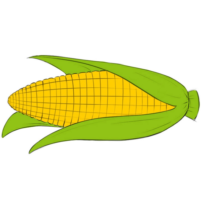 How To Draw A Corn Cob Easy Drawing Art