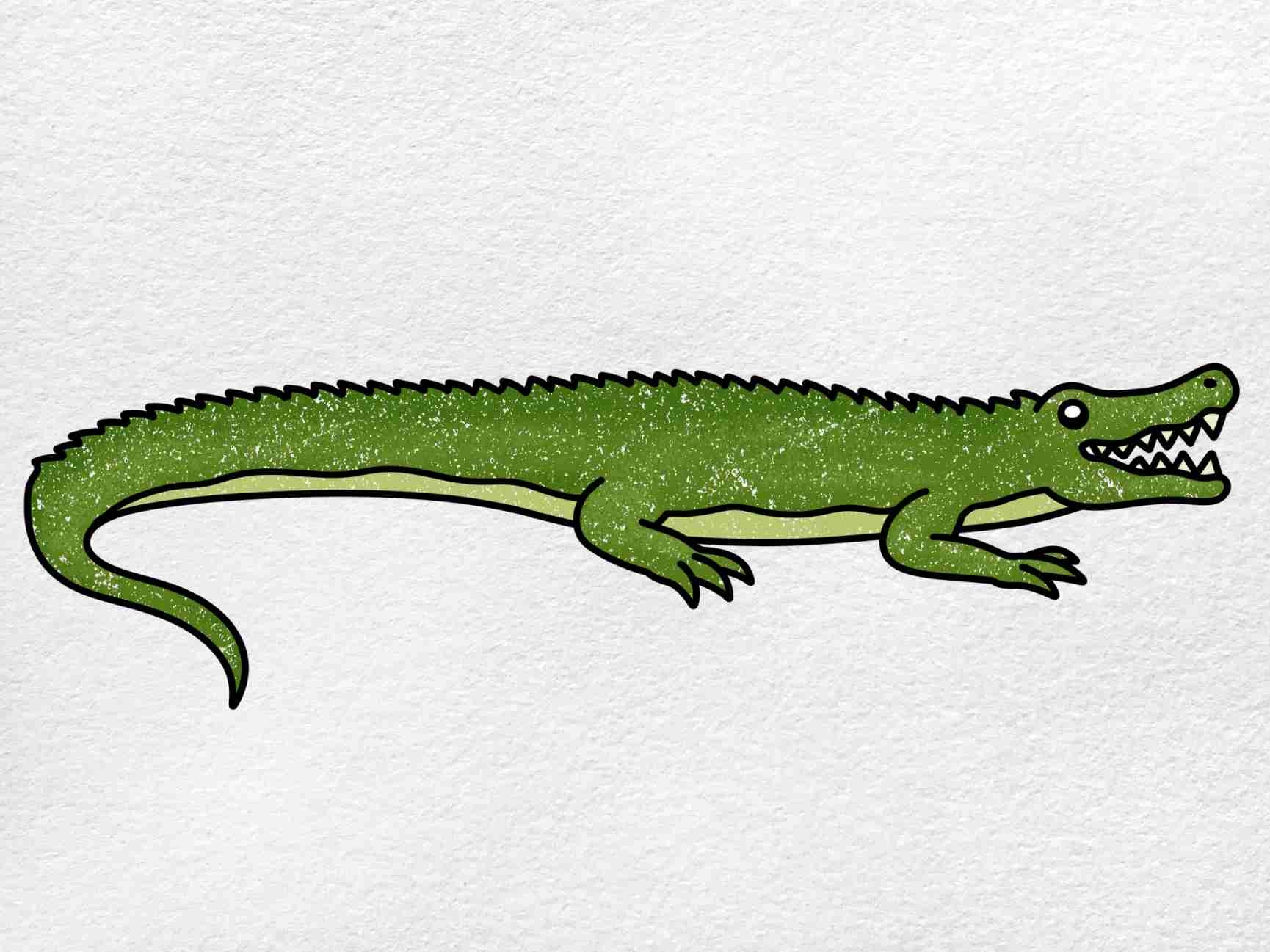 How To Draw A Crocodile HelloArtsy