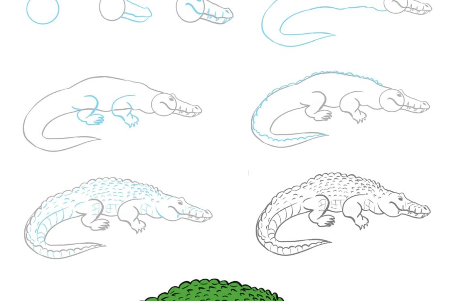 How To Draw A Crocodile How To Draw Easy