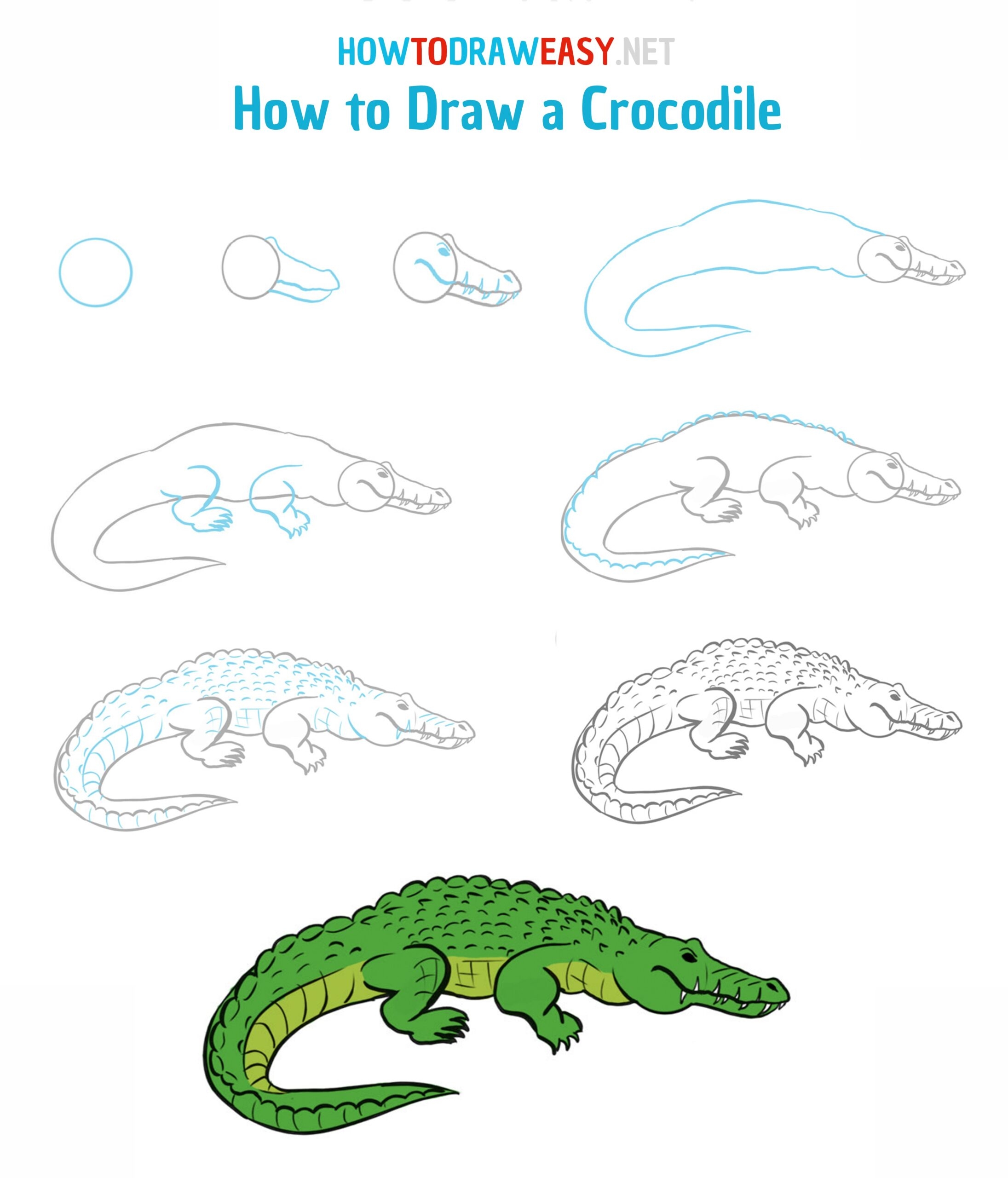 How To Draw A Crocodile How To Draw Easy