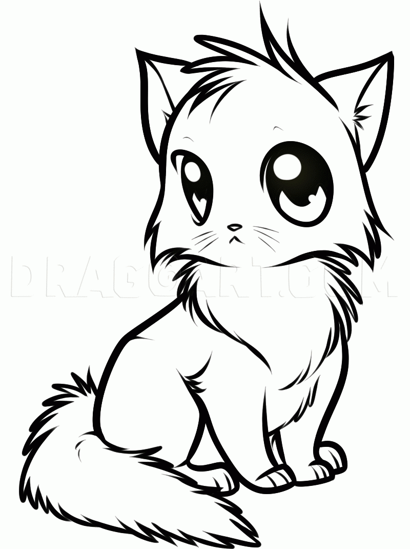 How To Draw A Cute Anime Cat Drawing Step By Step By Dawn 