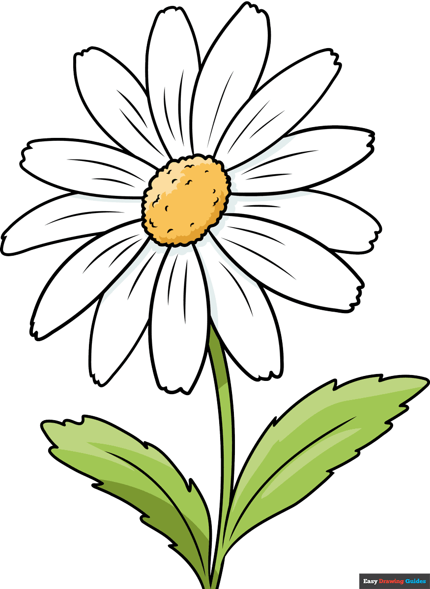 How To Draw A Daisy Flower Really Easy Drawing Tutorial