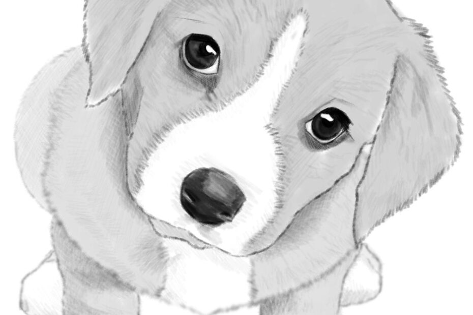 How To Draw A Dog Or Puppy Realistic Easy Step By Step Drawing