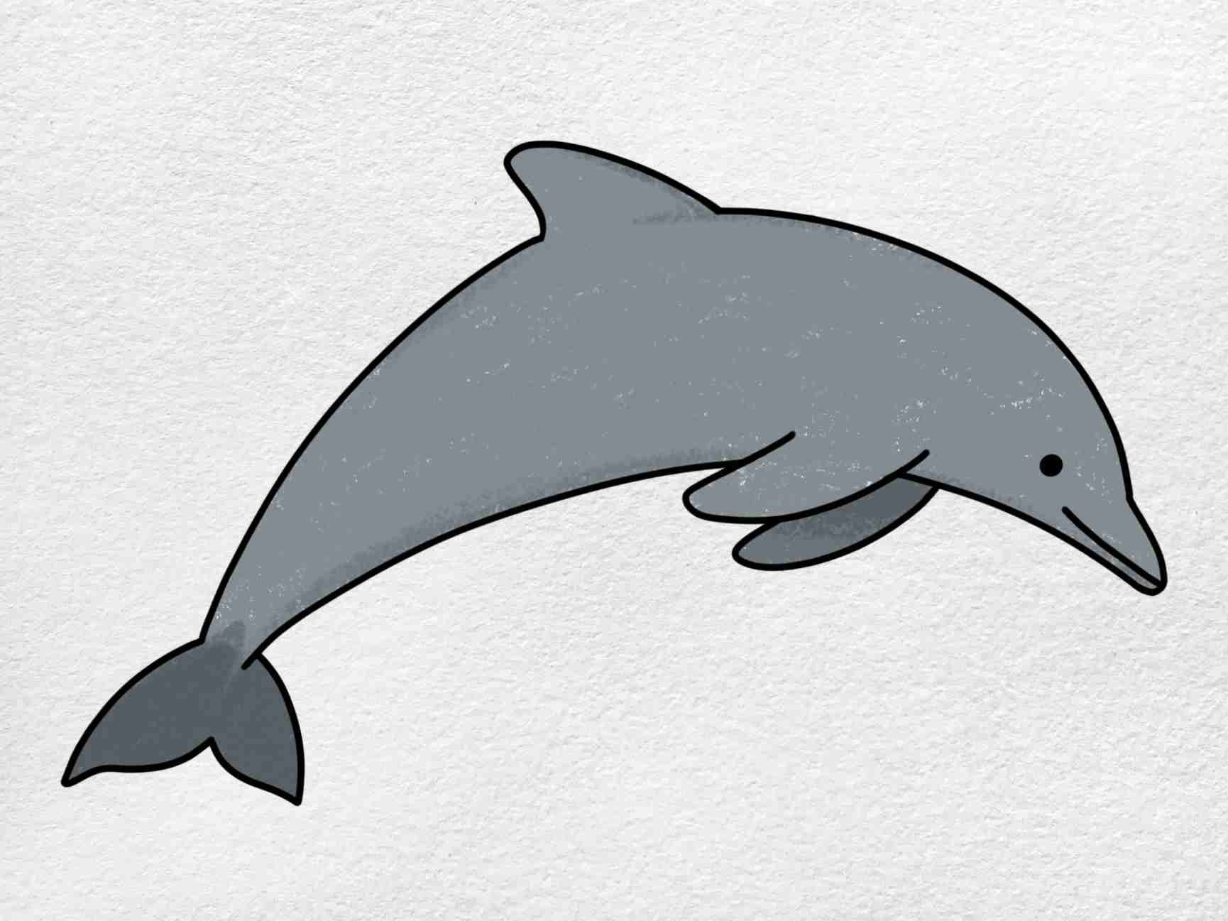 How To Draw A Dolphin HelloArtsy