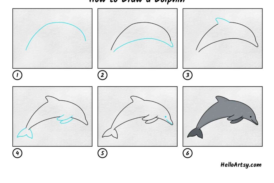 How To Draw A Dolphin HelloArtsy