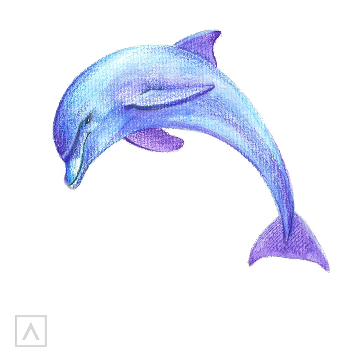 How To Draw A Dolphin In 6 Steps Arteza