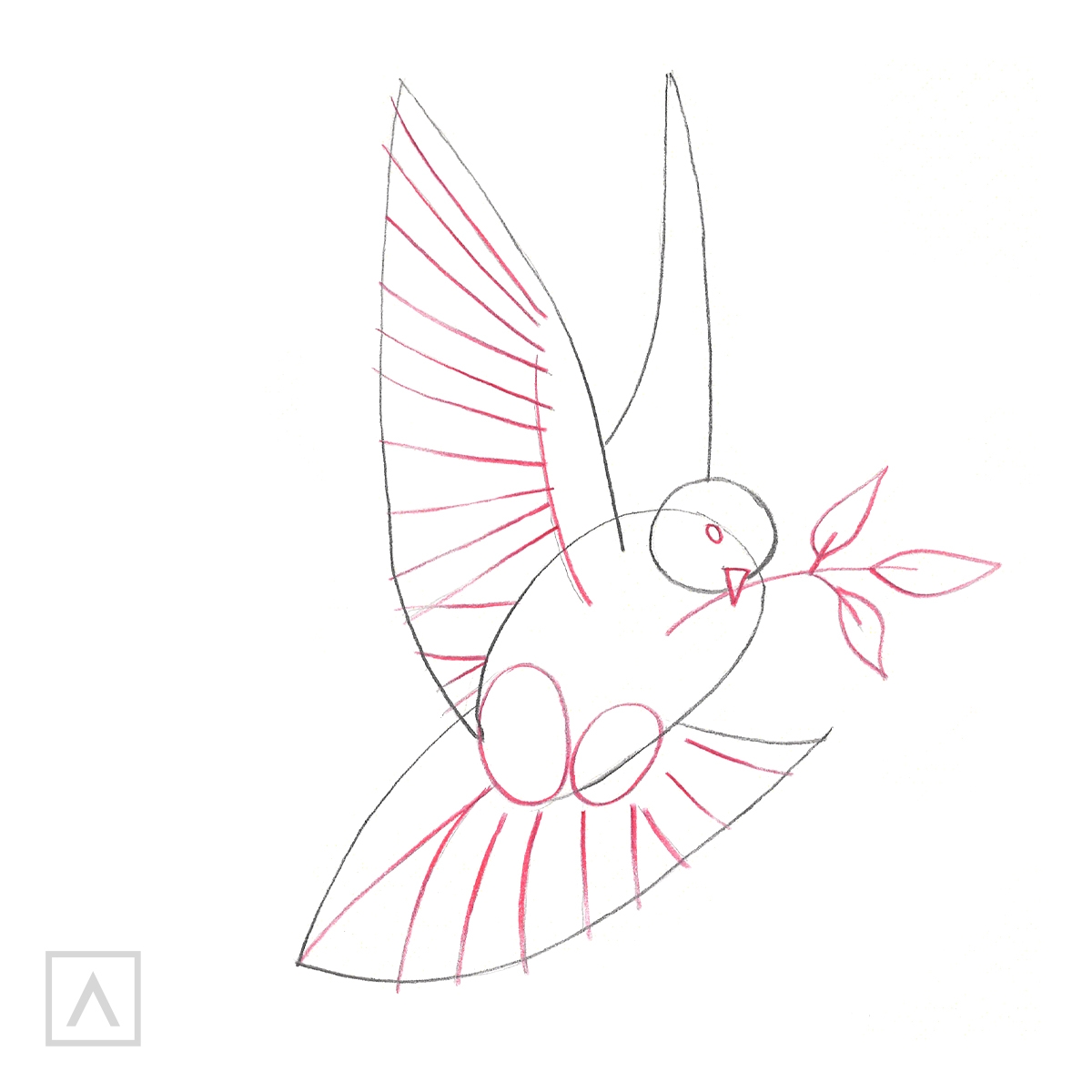 How To Draw A Dove Arteza