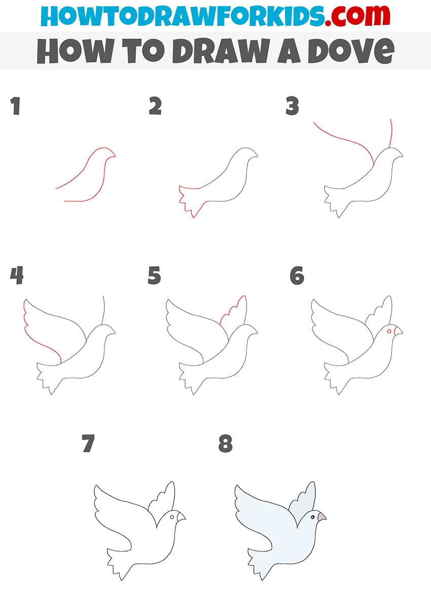 how to draw a dove