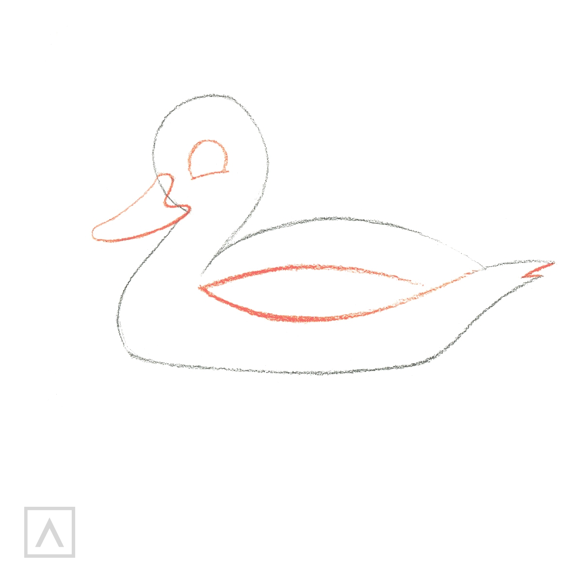 How To Draw A Duck The Easy Way Easy 9 Step Duck Drawing 