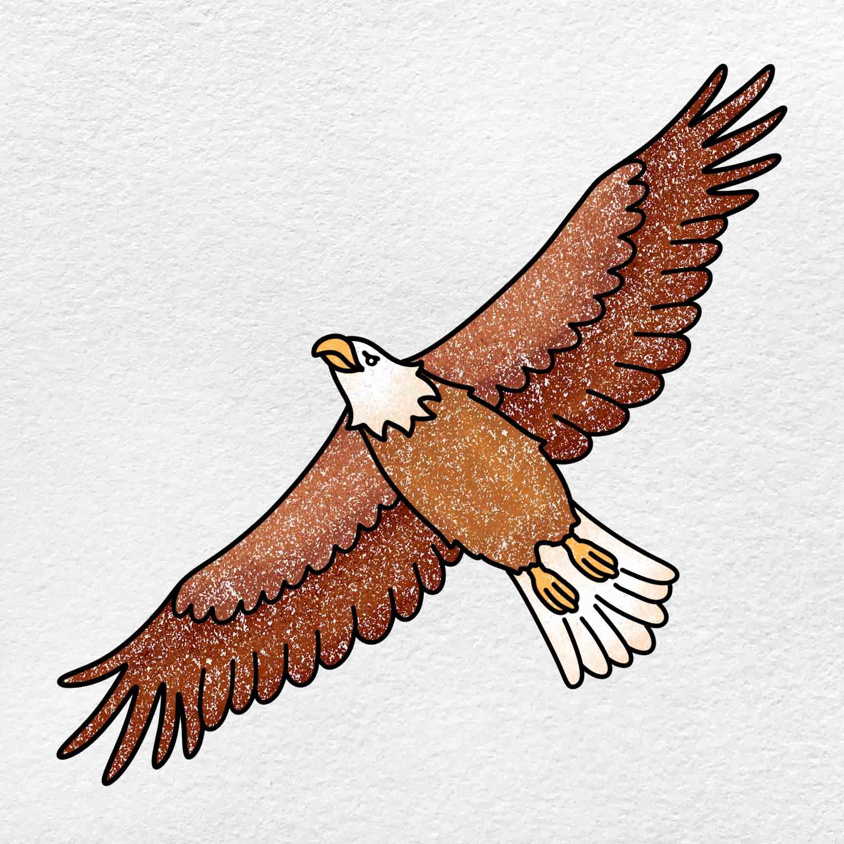 How To Draw A Eagle Flying HelloArtsy