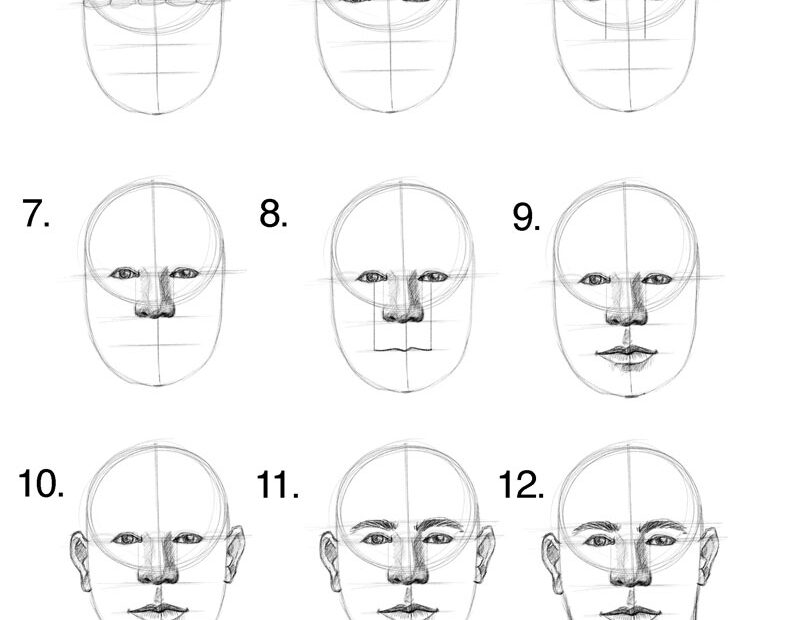 How To Draw A Face Facial Proportions