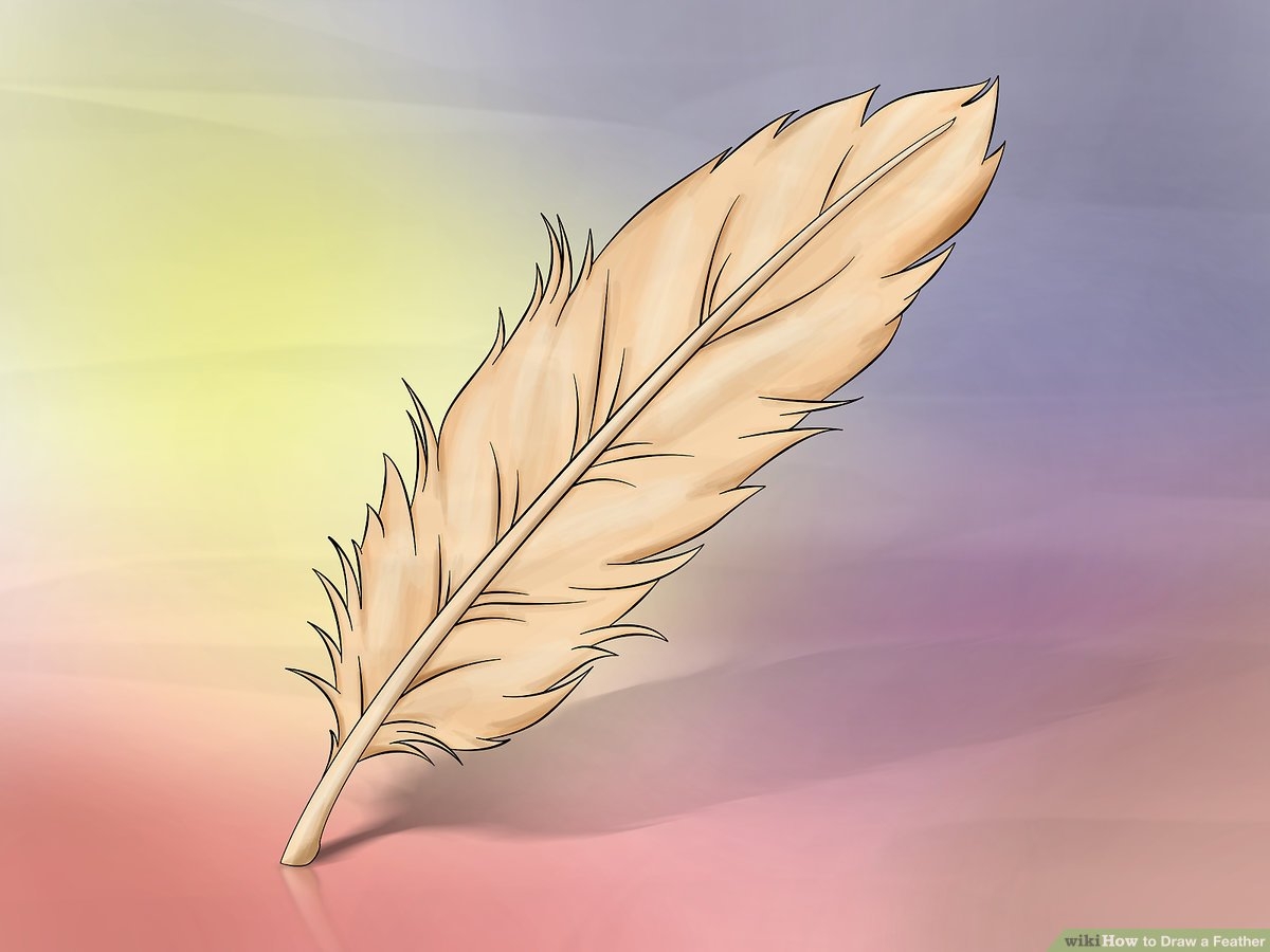 How To Draw A Feather 4 Easy Steps with Pictures 
