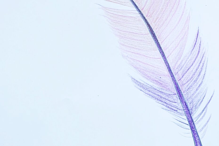 How To Draw A Feather With Color Basicdraw