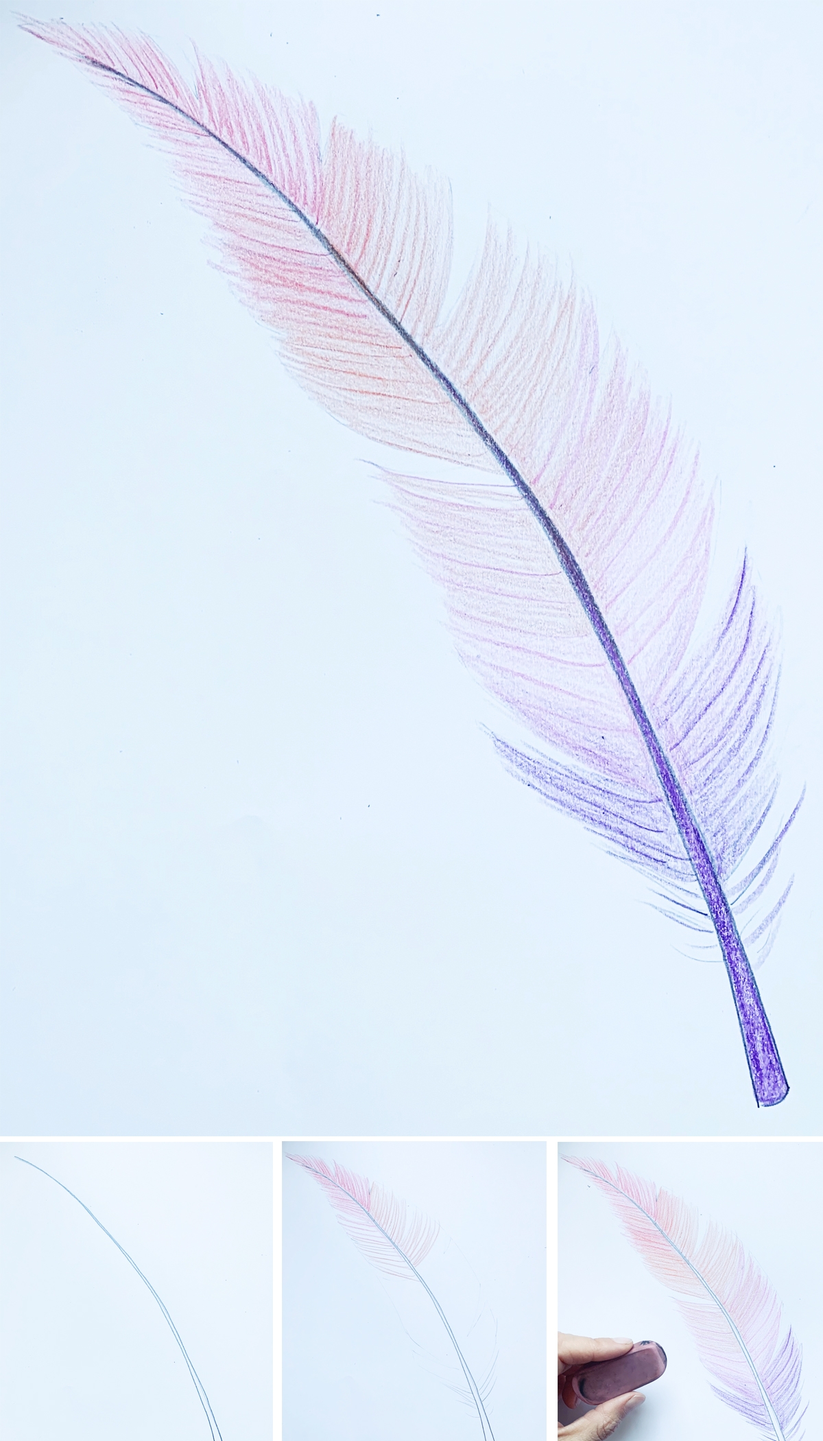 How To Draw A Feather With Color Basicdraw