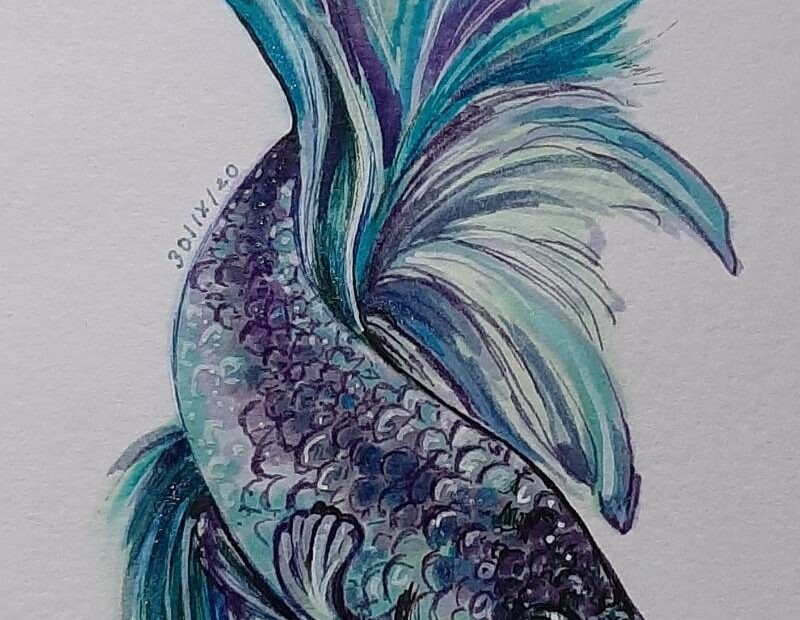 How To Draw A Fish Sketch A Day