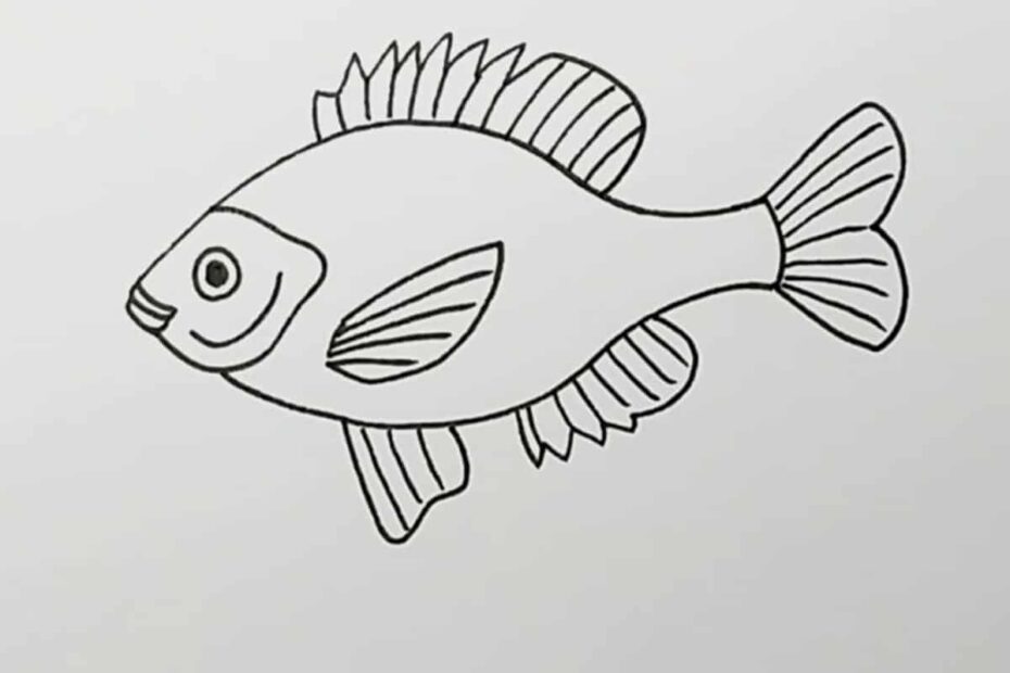 How To Draw A Fish Skip To My Lou