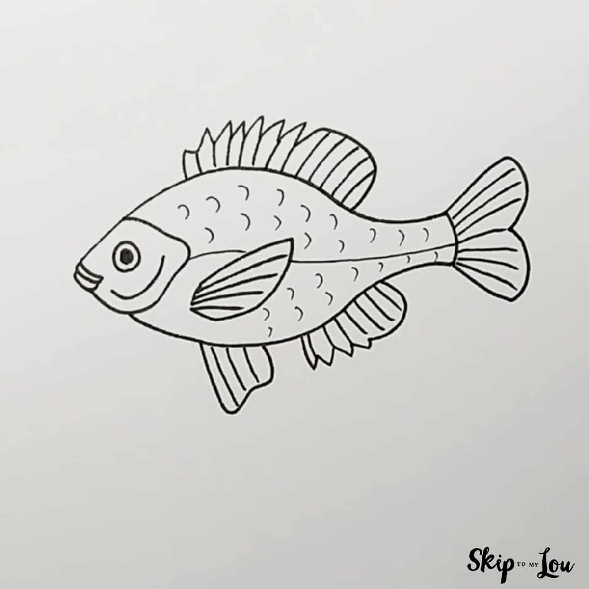 How To Draw A Fish Skip To My Lou