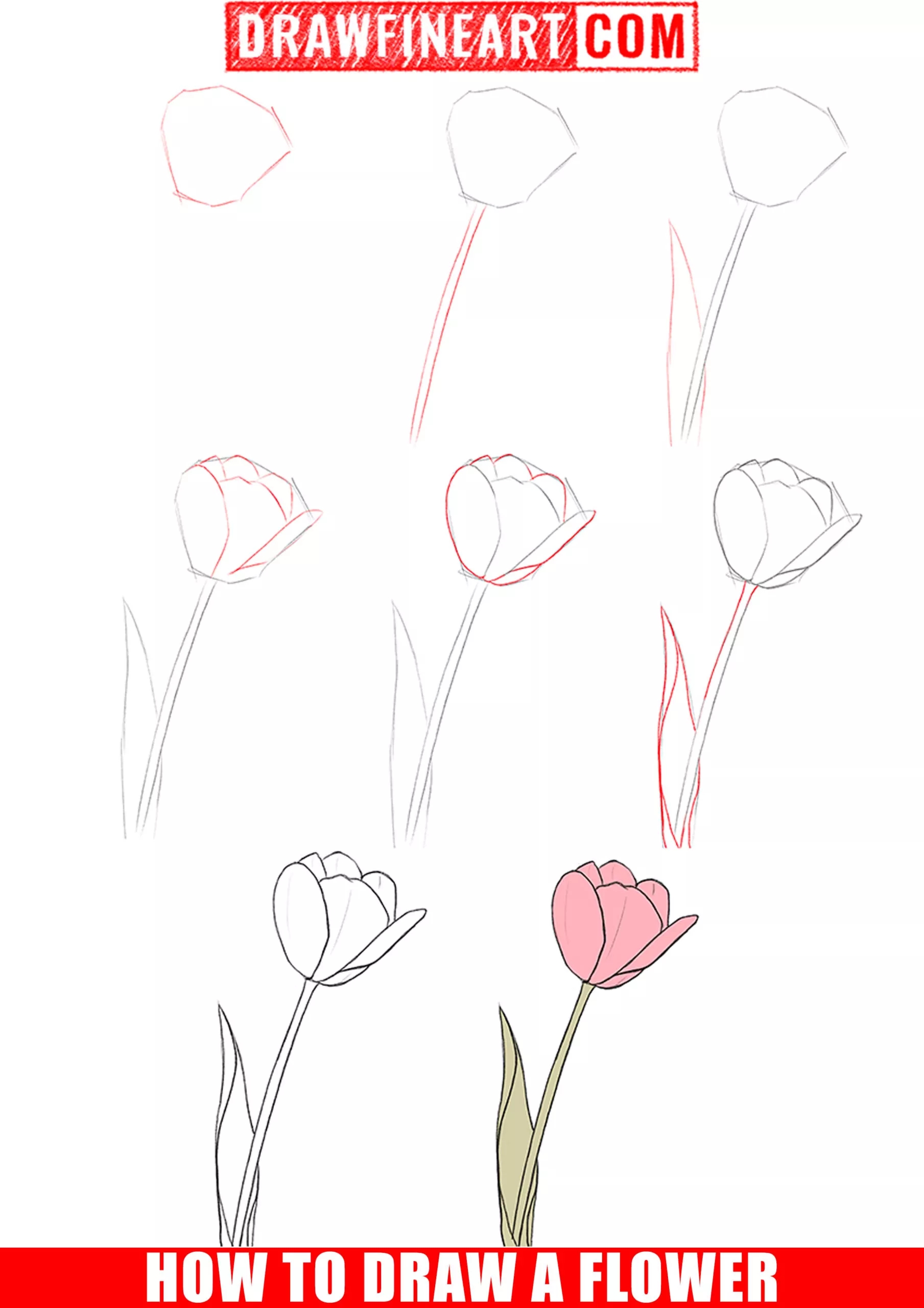 How To Draw A Flower Draw Fine Art