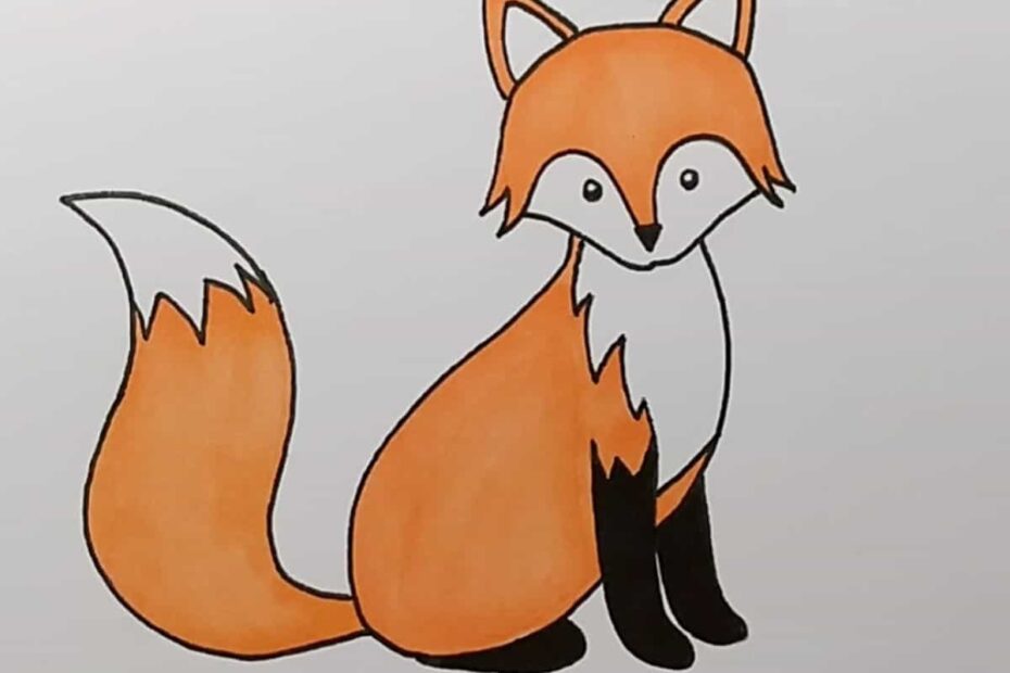 How To Draw A Fox A Step by Step Guide Skip To My Lou