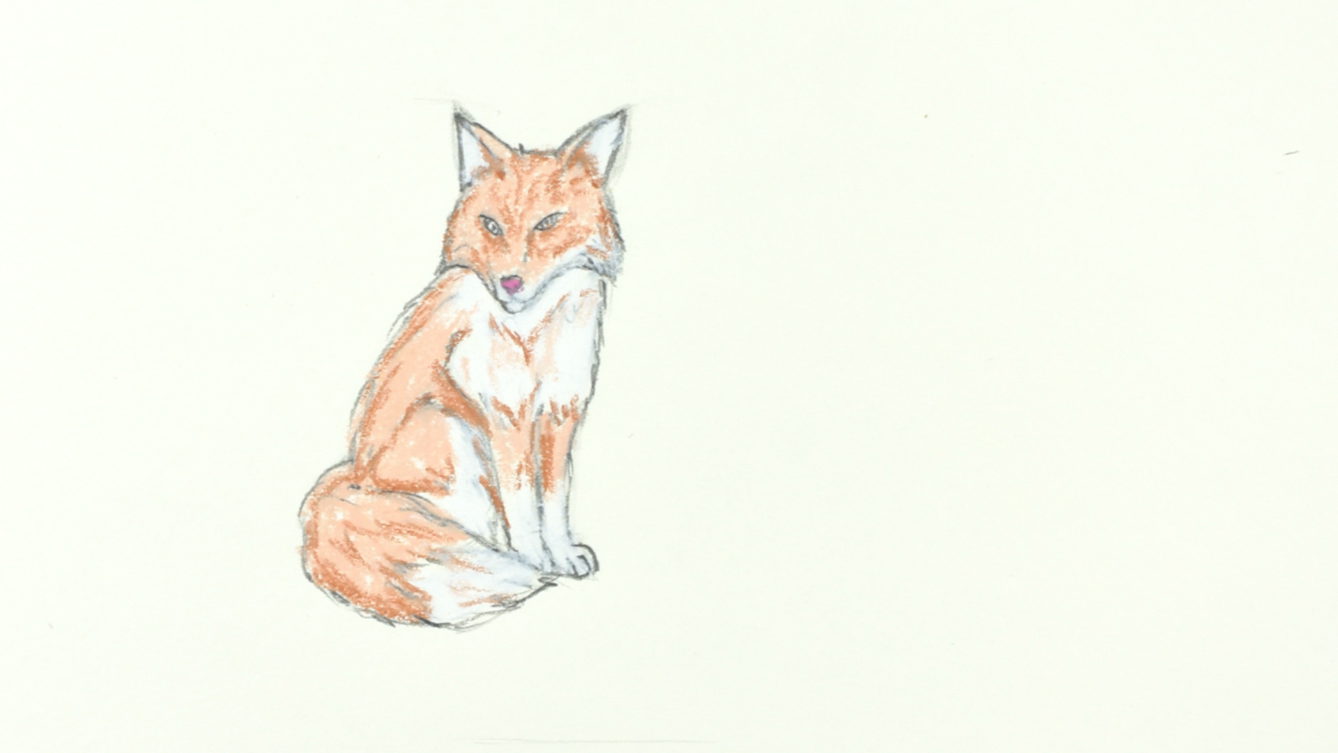 how to draw a fox