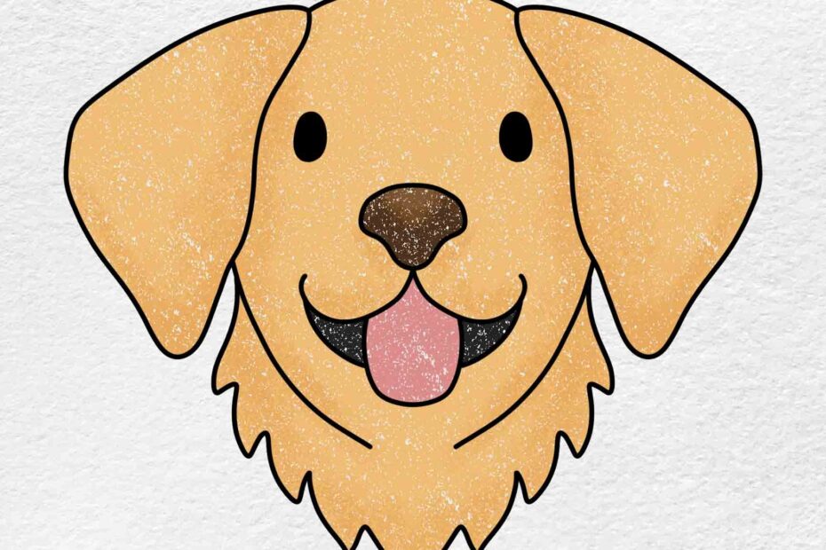 How To Draw A Golden Retriever HelloArtsy