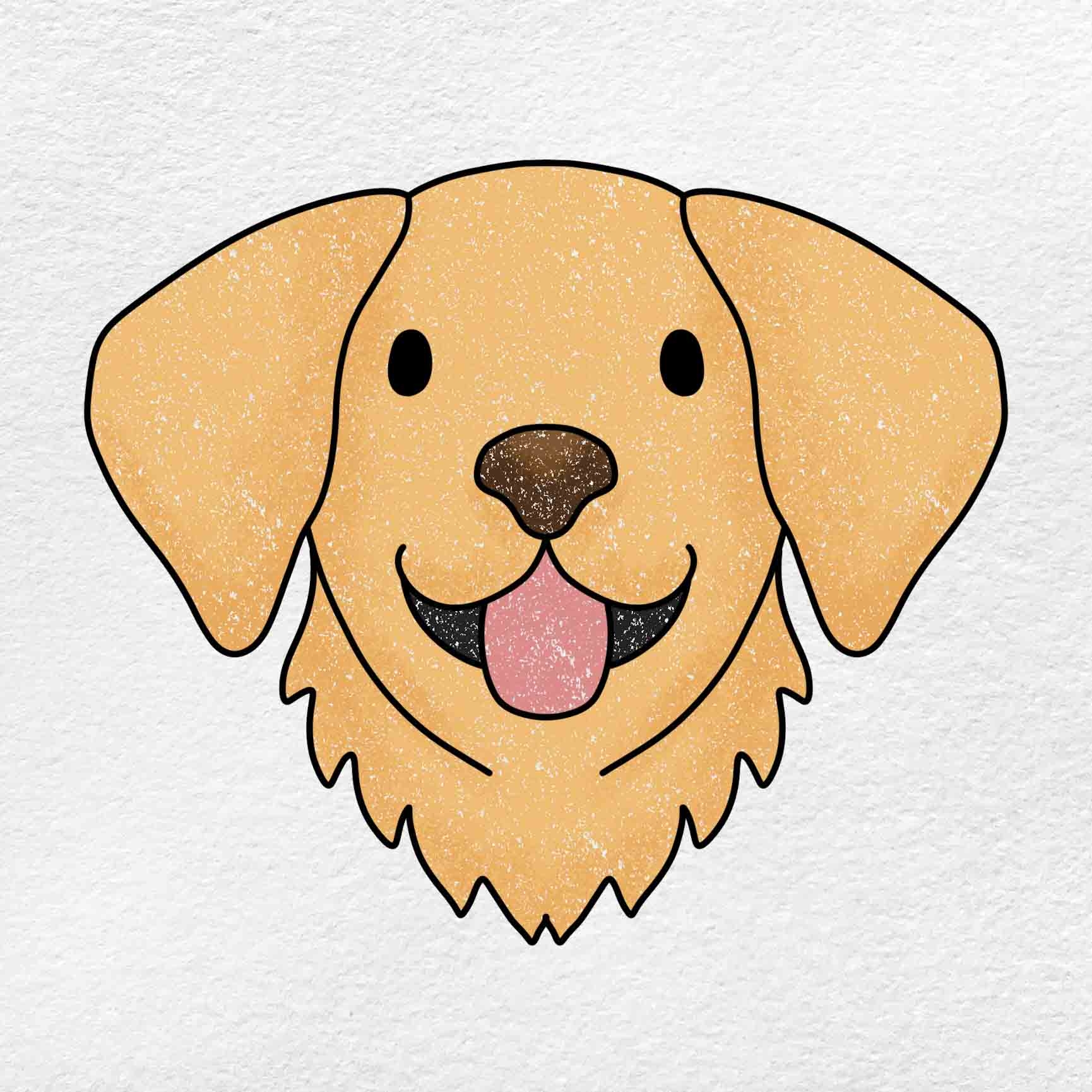 How To Draw A Golden Retriever HelloArtsy