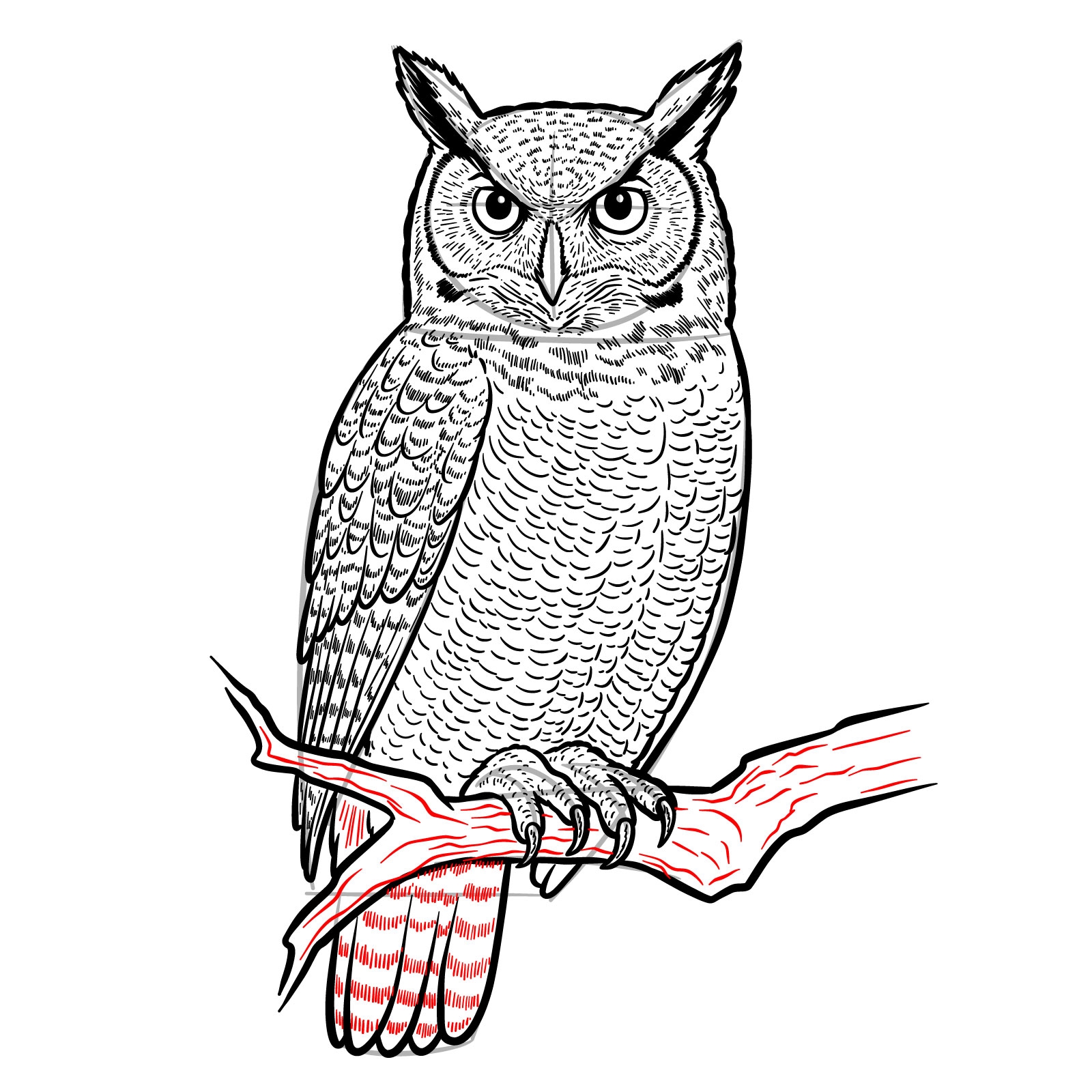 draw the rest of the owl
