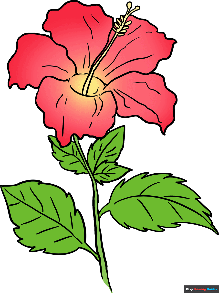 How To Draw A Hibiscus Really Easy Drawing Tutorial