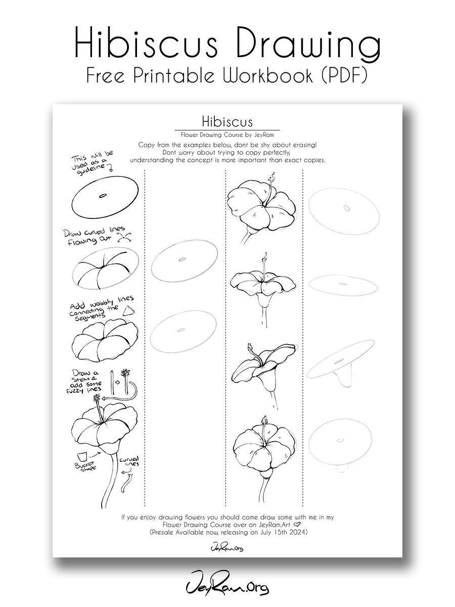 hibiscus drawing easy