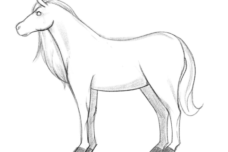 How To Draw A Horse Easy In 10 Steps Video Images
