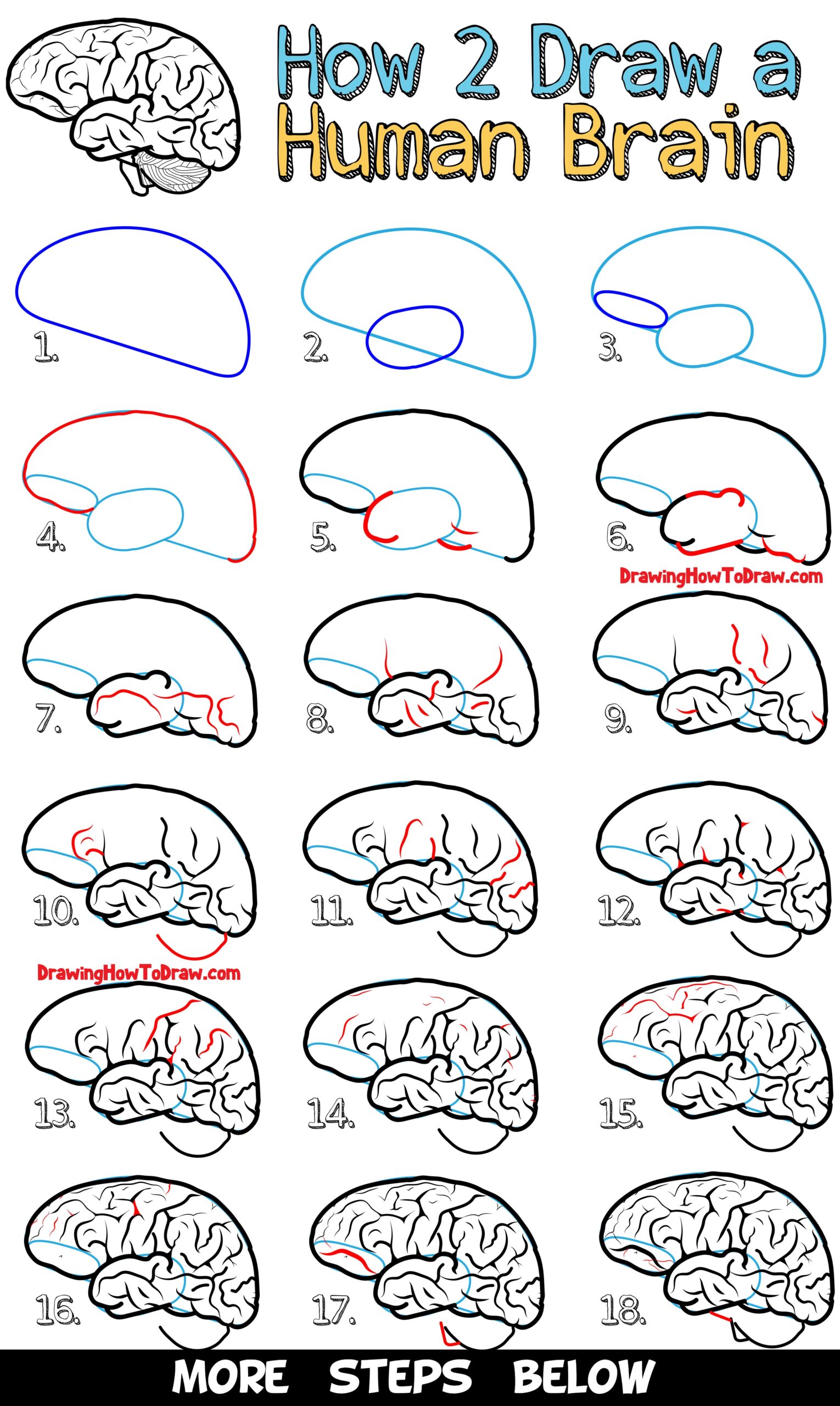 How To Draw A Human Brain Easy Steps Drawing Lesson For 
