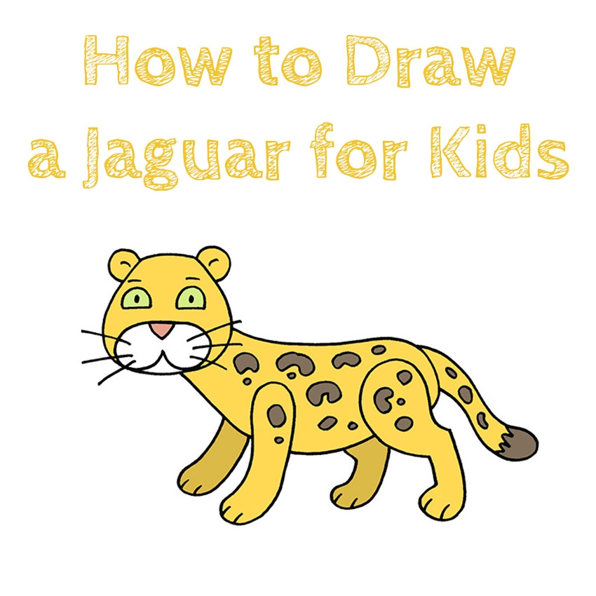 How To Draw A Jaguar For Kids How To Draw Easy