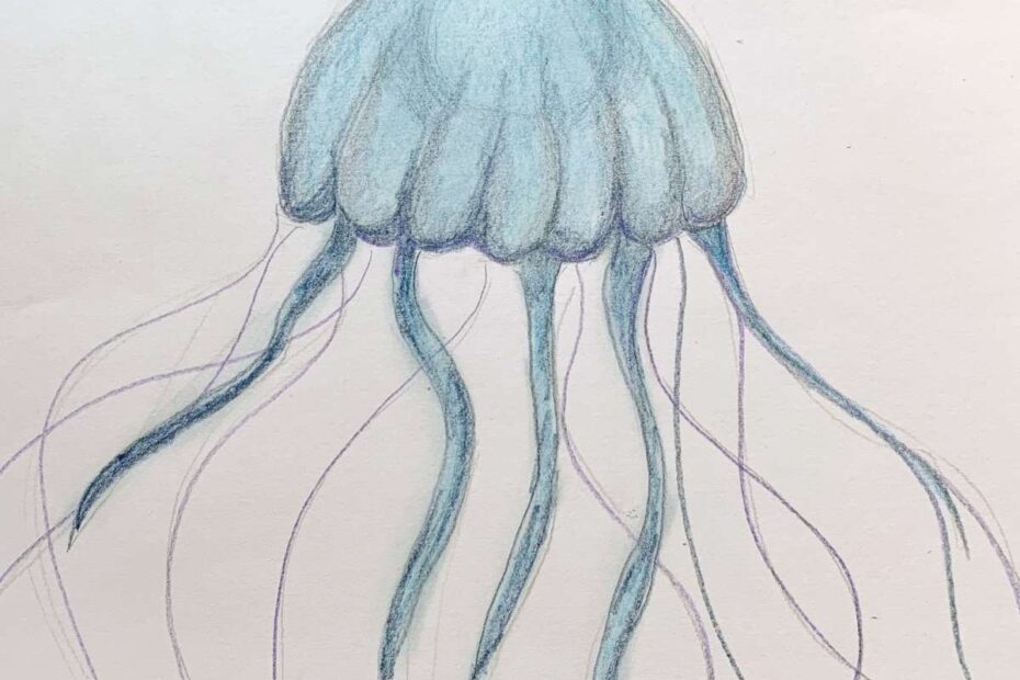How To Draw A Jellyfish With Moving Tentacles Basicdraw