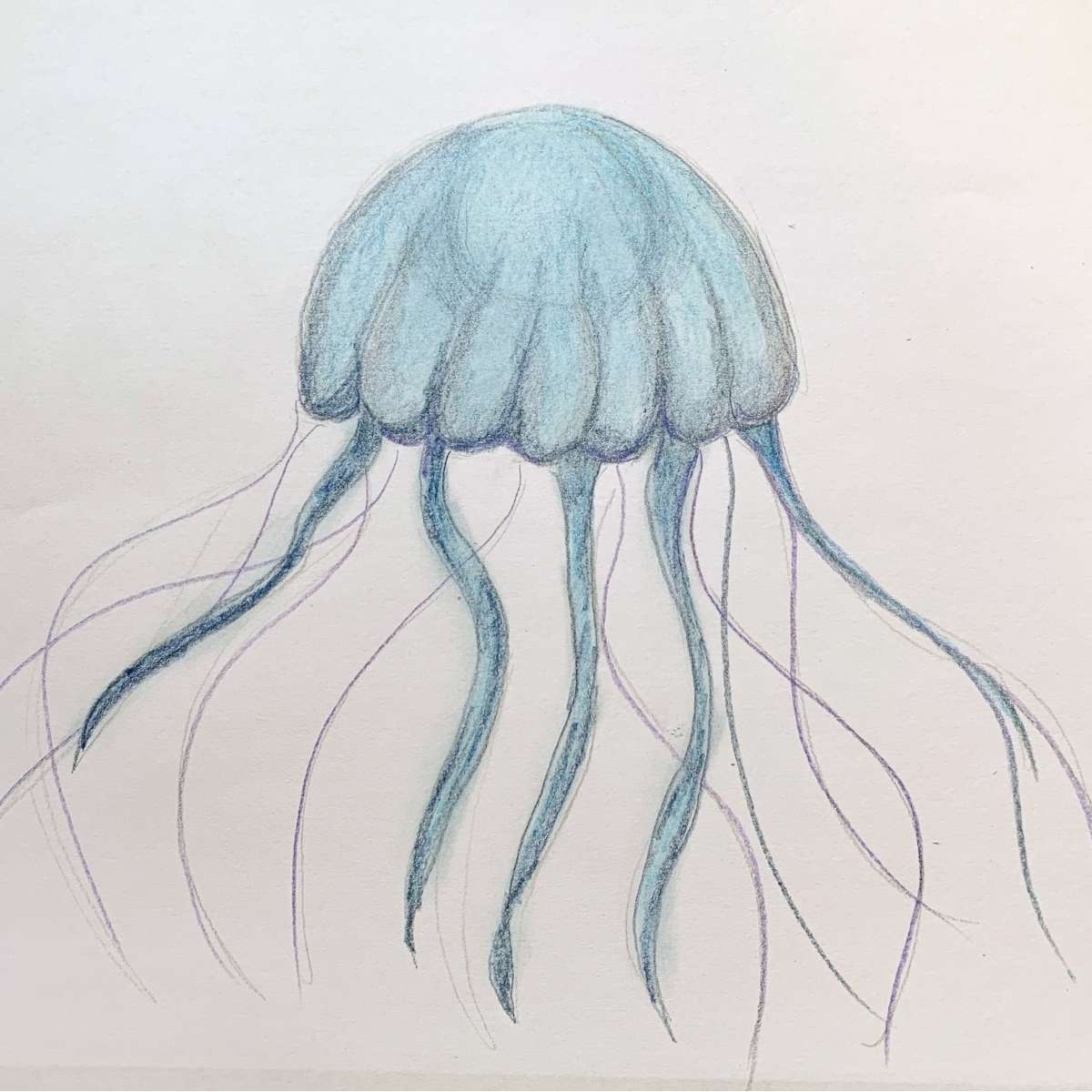 How To Draw A Jellyfish With Moving Tentacles Basicdraw