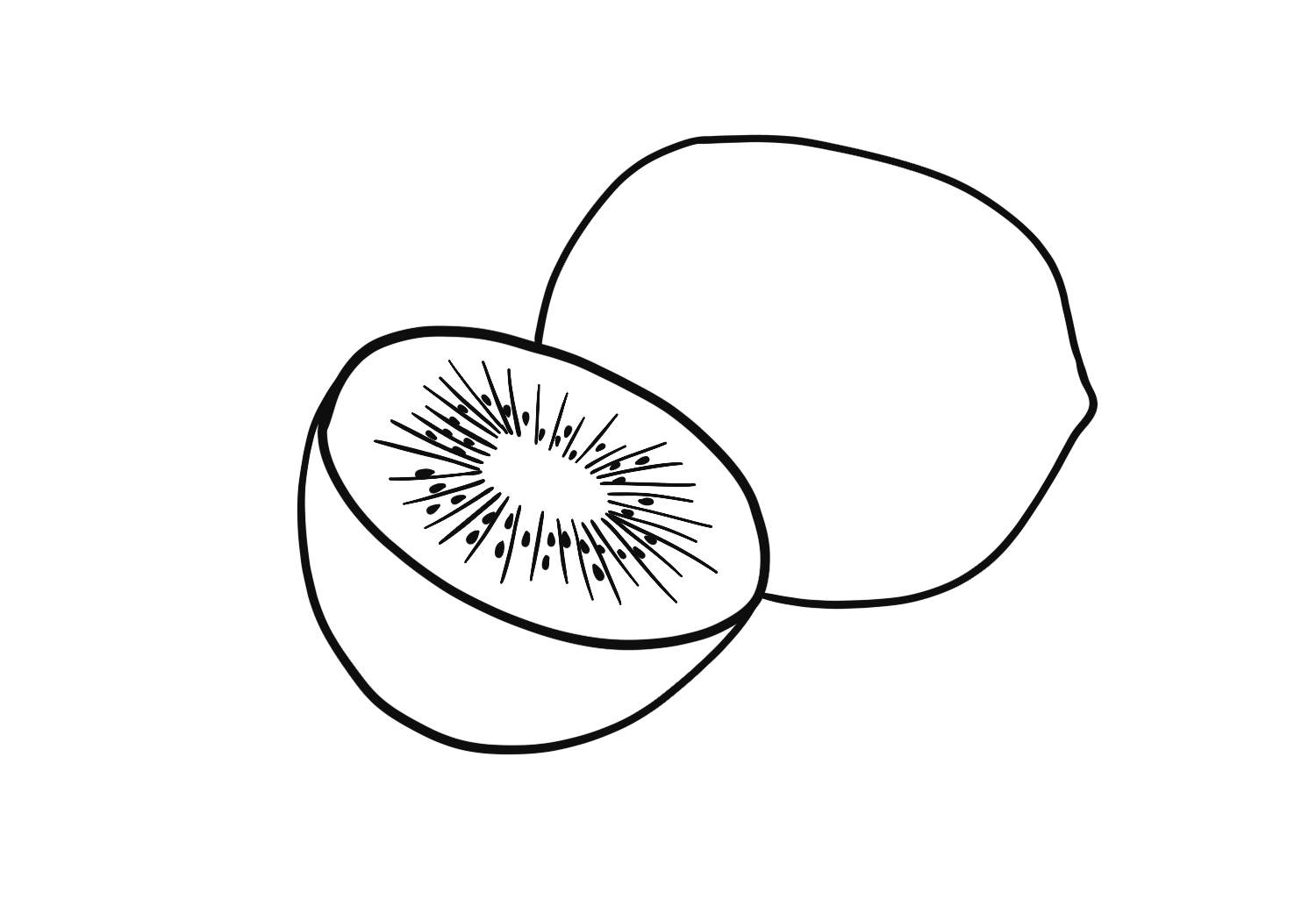 How To Draw A Kiwi Fruit Design School