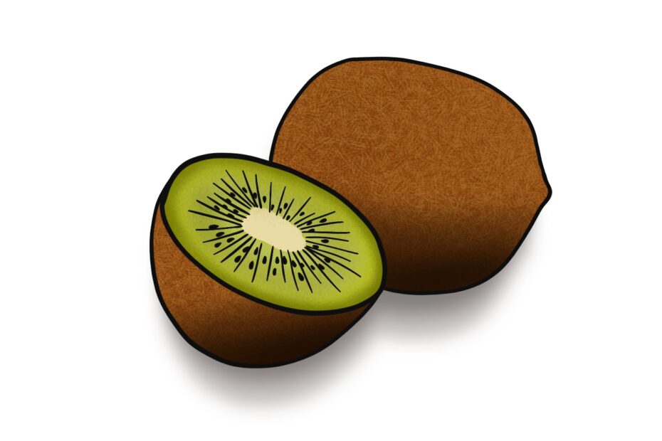 How To Draw A Kiwi Fruit Design School