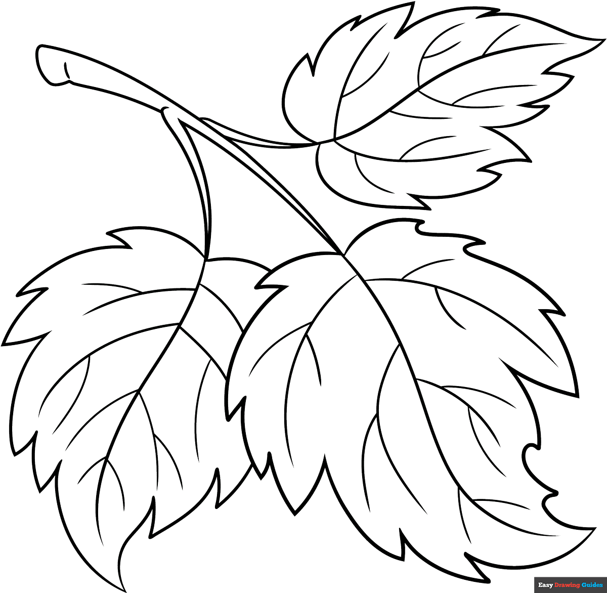 leaves drawing