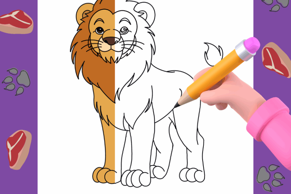 How To Draw A Lion A Step by Step How To Mimi Panda