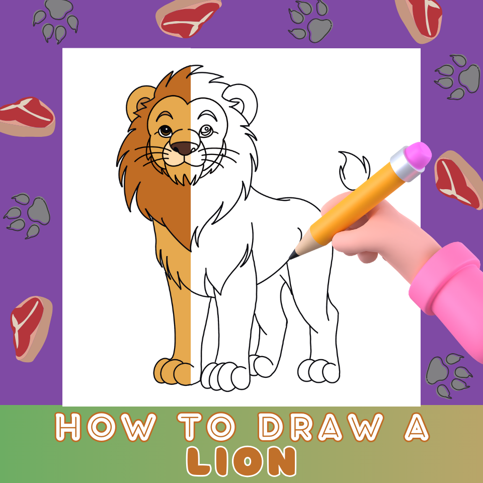 How To Draw A Lion A Step by Step How To Mimi Panda