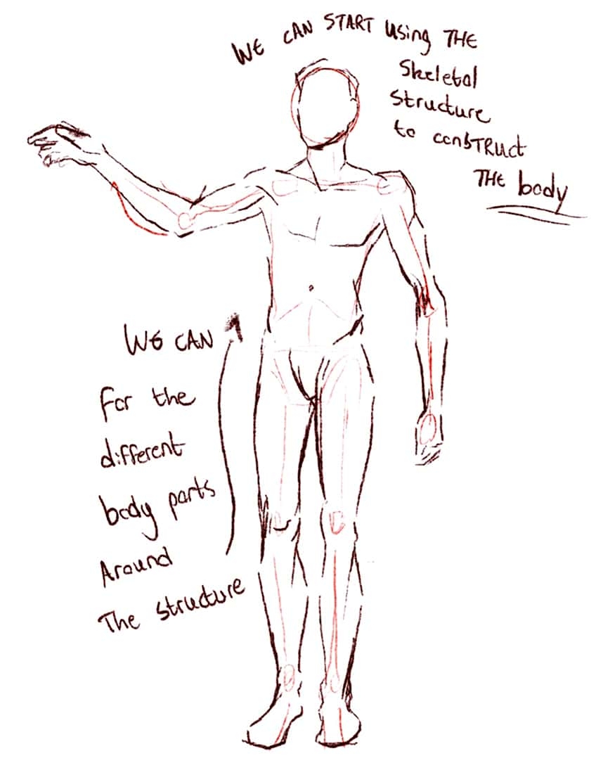how to draw body