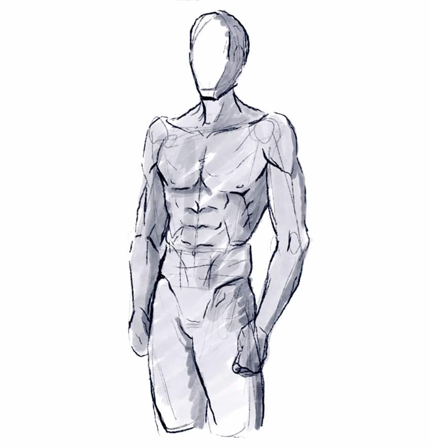 How To Draw A Man Mastering The Basic Proportions