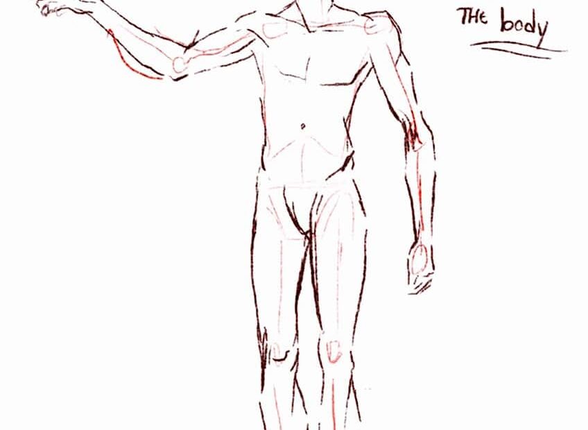 How To Draw A Man Mastering The Basic Proportions