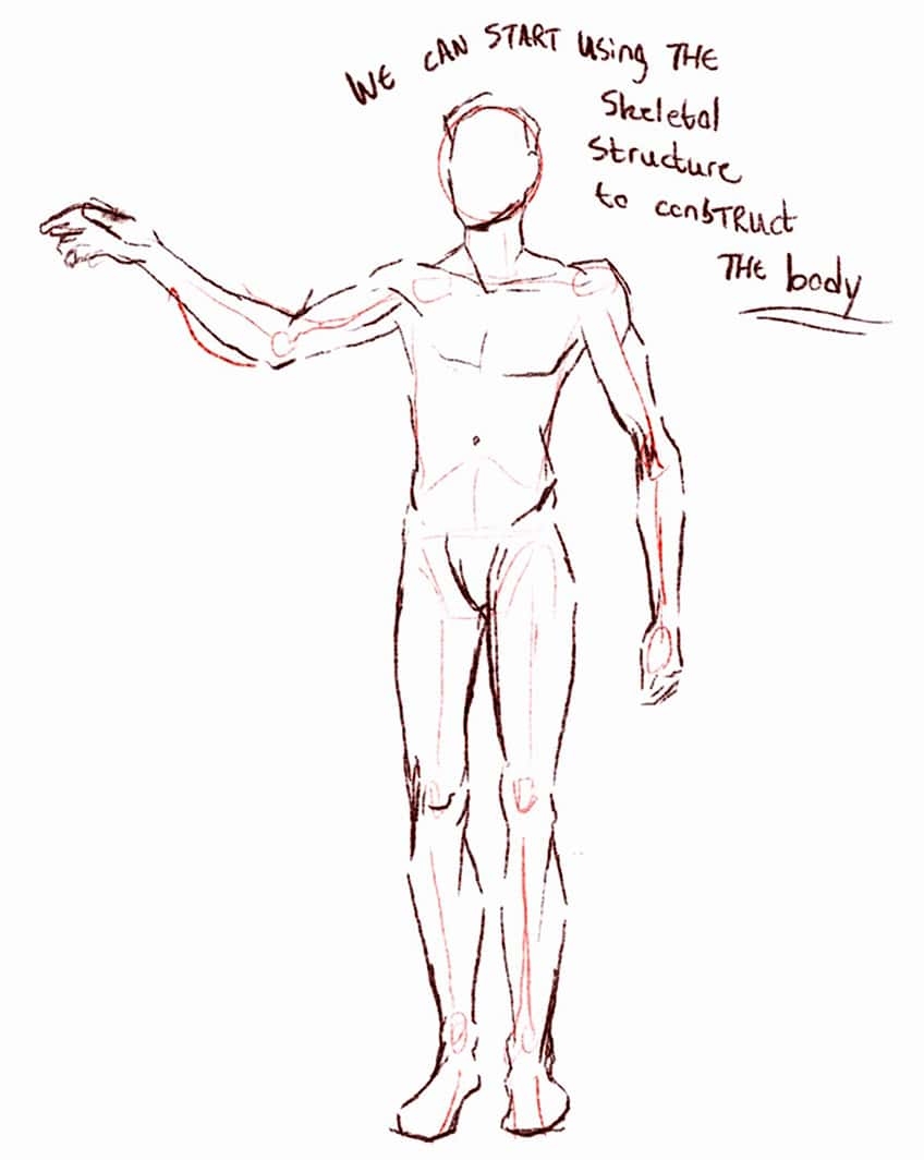 How To Draw A Man Mastering The Basic Proportions
