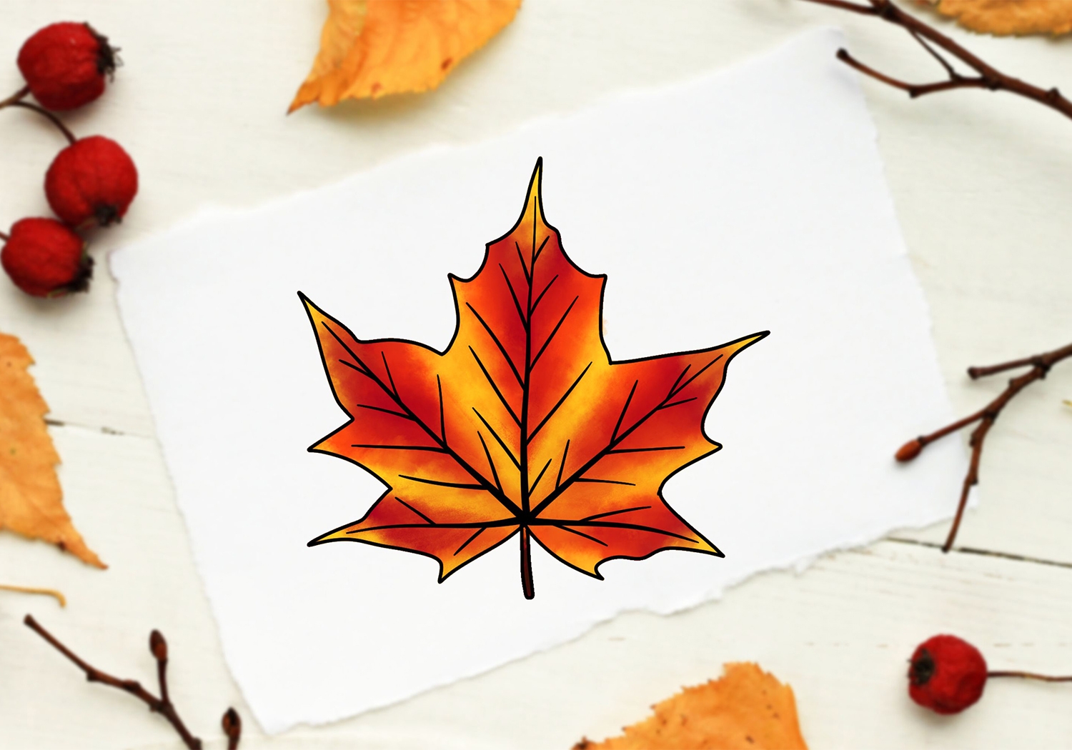 How To Draw A Maple Leaf Design School